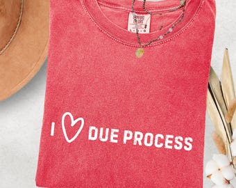 I Love Due Process Comfort Colors T-Shirt