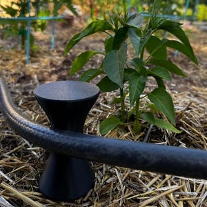 May include: A black garden hose holder with a flared base and a circular top, holding a black garden hose. The holder is set in a garden bed with straw mulch, with a green plant in the background.