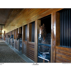 Stallen is a Kentucky Fine Art Print Of Horses Inside A Stable | Photographed By Price Maples Sr. At Donamire Farm in Lexington, Ky.