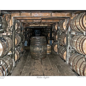 Hidden Buffalo Kentucky Bourbon Fine Art Print Photographed By Price Maples Sr. At Buffalo Trace Distillery In Frankfort, Kentucky