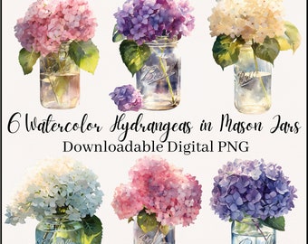 Watercolor Hydrangeas in Mason Jar Clipart, Transparent Digital PNG's, Floral Arrangements Bouquet Download. Flower Bundle, Commercial Use