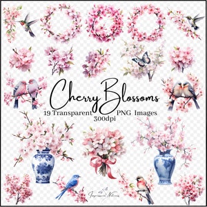 Spring Cherry Blossoms aquarel clipartafbeeldingen, transparante digitale PNG's, roze bloemen sublimatie downloaden. Bloembundel, commercieel gebruik