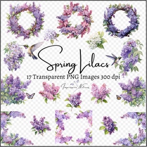 Printemps lilas aquarelle Clipart éléments, PNG numérique transparent, arrangements floraux peintures téléchargement. Bouquet de fleurs, usage commercial