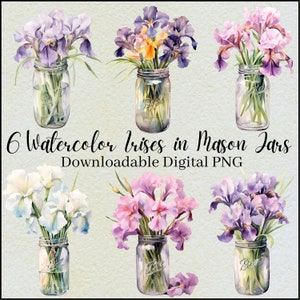 Aquarel Irissen in Mason Jar Clipart, Transparante Digitale PNG, Floral Mother's Day Card Image Download. Iris bloembundel, commercieel gebruik