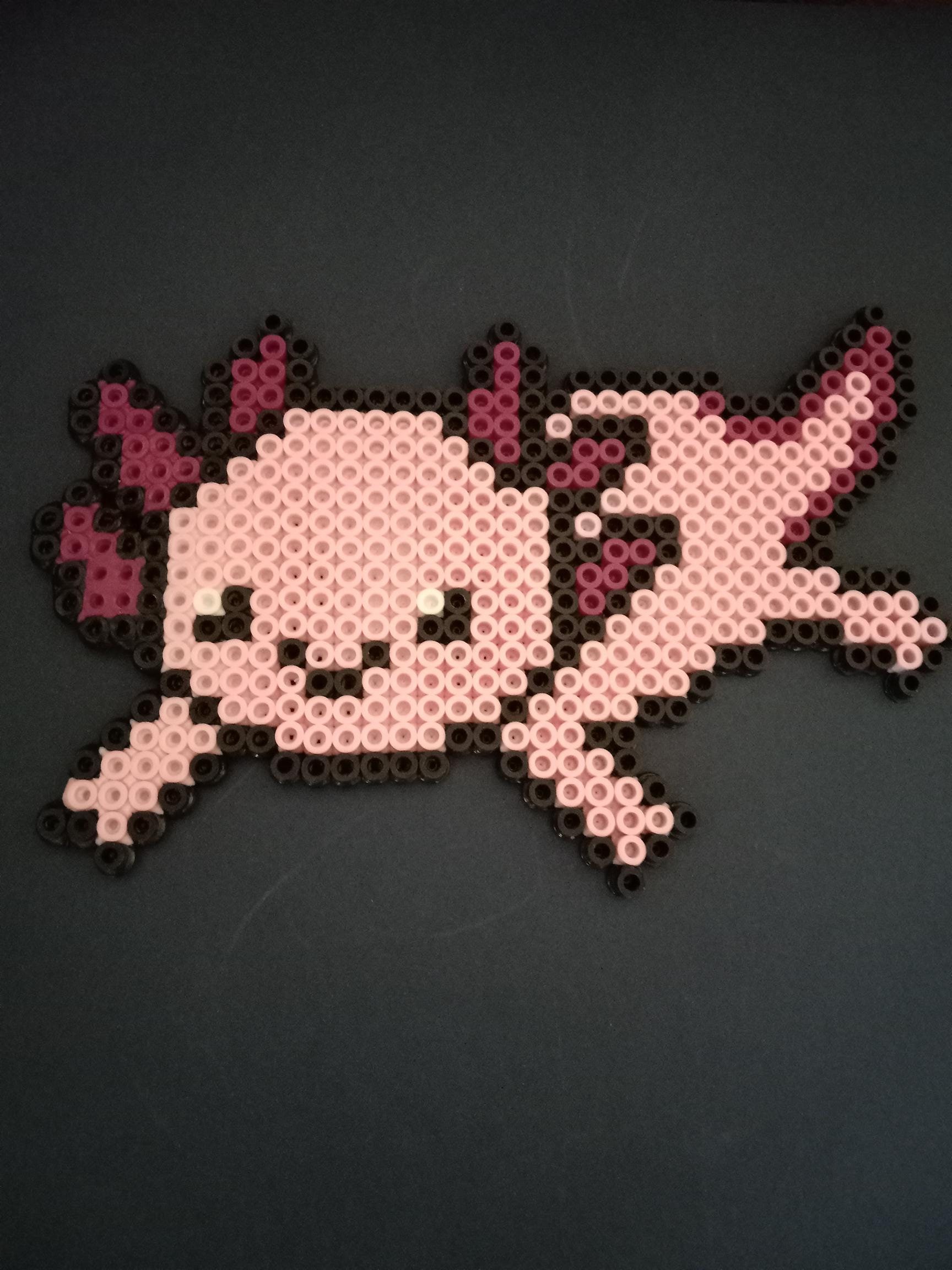 Axolotl Fuse Beads - Main Image