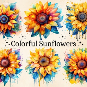 12 Clipart tournesols colorés aquarelle PNG, tournesol PNG, Clipart floral, fond Transparent, usage commercial, lot numérique