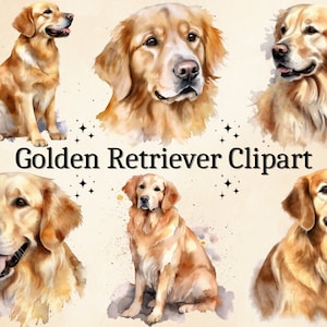 21 PNG Acquerello Golden Retriever Clipart, Clipart cane, Golden Retriever Bundle, ClipArt animale, ClipArt cane, Labrador Clipart, PNG Art