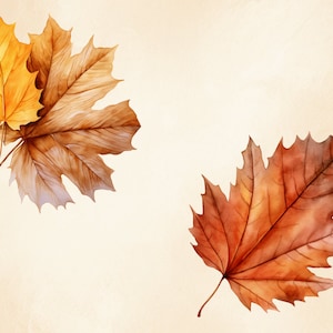 May include: Two watercolour painted maple leaves, one is a light orange and the other is a dark brown.
