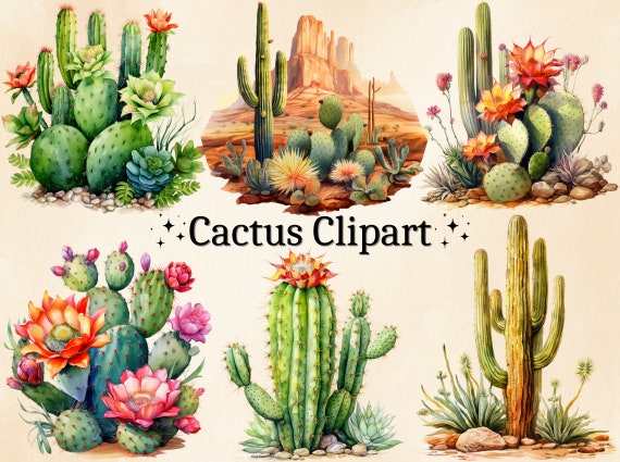 Watercolor Cactus Clipart: Desert Cacti PNG Images (Digital Bundle)