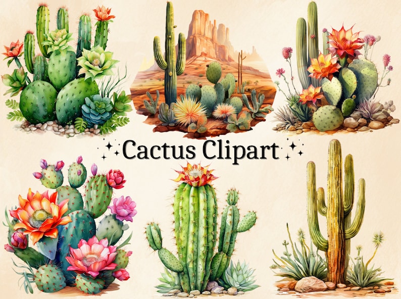 K&ouml;nnte beinhalten: Aquarellillustrationen verschiedener Kakteen und Sukkulenten, einige mit leuchtend roten, rosa und gelben Bl&uuml;ten. Das Bild enth&auml;lt den Text "Cactus Clipart" in einer dekorativen Schriftart, ideal f&uuml;r Designs zum Thema W&uuml;ste.