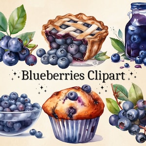 31 PNG Watercolor Blueberries Clipart, Blueberry Clipart Bundle, Fruit Clipart PNG, Watercolor Fruit for Scrapbooks and Invitations