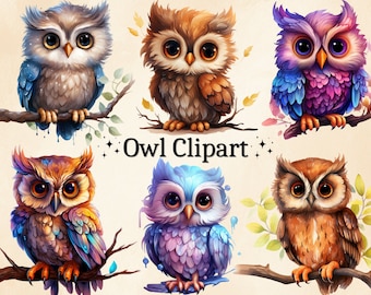 Watercolor Owl Clipart: 16 Colorful PNG Images (Commercial Use)