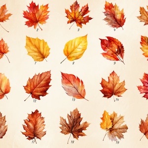 May include: Twenty watercolour illustrations of autumn leaves in various shades of red, orange, yellow, and brown. The leaves are arranged in a grid pattern on a beige background.