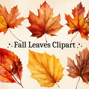 20 PNG aquarelle feuilles d'automne Clipart, Clipart feuilles d'automne, feuille d'automne, feuille d'automne, Clipart de Thanksgiving, décoration automne, lot numérique