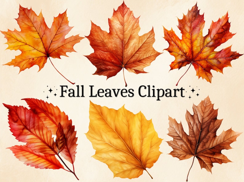 May include: Six watercolour illustrations of autumn leaves in various shades of red, orange, yellow, and brown. The leaves are isolated on a white background. "Fall Leaves Clipart" is written in black text below the leaves.