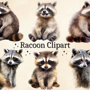22 PNG Aquarelle Racoon Clipart, Cute Racoon Clipart, Bébés Animaux, Animaux des Bois, Bébé Racoon, Digital Download Bundle