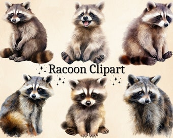 Watercolor Raccoon Clipart: Baby Woodland Animals (PNG Digital Download)