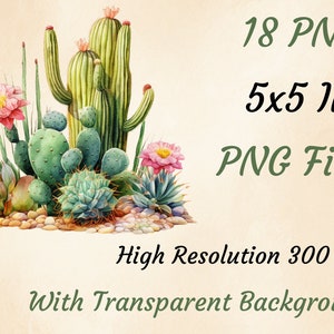 K&ouml;nnte beinhalten: Aquarellillustration verschiedener Kakteen und Sukkulenten mit rosa Bl&uuml;ten und kleinen Steinen. Das Bild enth&auml;lt den Text "18 PNG 5x5 IN PNG Files High Resolution 300 DPI With Transparent Background."