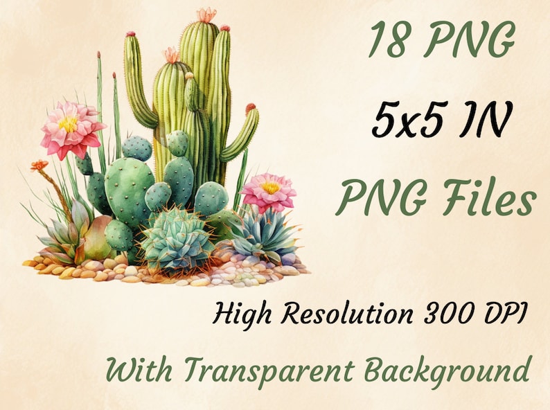 K&ouml;nnte beinhalten: Aquarellillustration verschiedener Kakteen und Sukkulenten mit rosa Bl&uuml;ten und kleinen Steinen. Das Bild enth&auml;lt den Text "18 PNG 5x5 IN PNG Files High Resolution 300 DPI With Transparent Background."