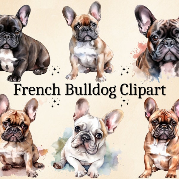 16 PNG Watercolor French Bulldog Clipart, Dog Clipart, French Bulldog Bundle, Animal Clip art, Dog Clip art, Bulldog Clipart, PNG Clip Art