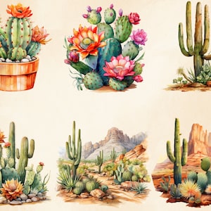 K&ouml;nnte beinhalten: Aquarellillustrationen verschiedener Kakteen, darunter bl&uuml;hende Sorten in T&ouml;pfen und W&uuml;stenlandschaften. Die Kakteen haben gr&uuml;ne K&ouml;rper mit orangefarbenen und rosa Bl&uuml;ten, vor einem neutralen Hintergrund.