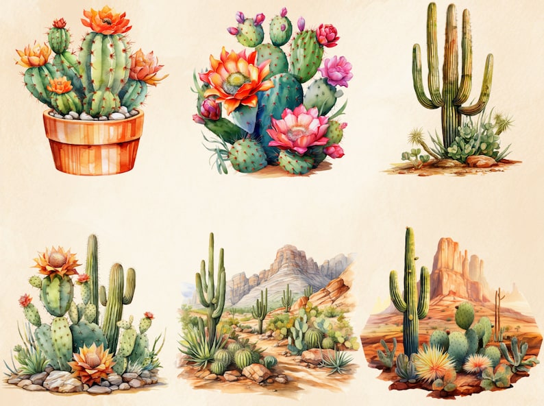 K&ouml;nnte beinhalten: Aquarellillustrationen verschiedener Kakteen, darunter bl&uuml;hende Sorten in T&ouml;pfen und W&uuml;stenlandschaften. Die Kakteen haben gr&uuml;ne K&ouml;rper mit orangefarbenen und rosa Bl&uuml;ten, vor einem neutralen Hintergrund.