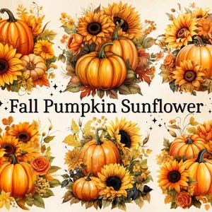 12 PNG Watercolor Fall Pumpkin with Sunflower Clipart, Autumn Clipart, Pumpkin Harvest, Fall Decor, Sunflower PNG, Pumpkin Floral Images