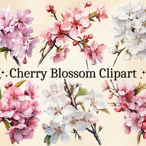 18 PNG Akwarela Wiśnia Kwitnąca Clipart, Wiosenne Drzewa, Sakura Clipart, Wiśniowe Drzewa Kwitnące, Wiosenne Kwiaty Clipart, Cyfrowy Pakiet