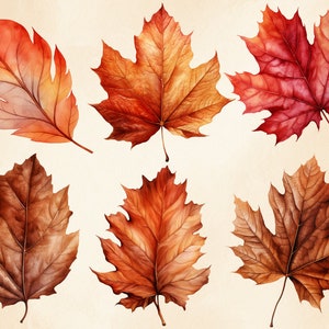 May include: Six watercolour painted autumn leaves in various shades of red, orange, and brown. The leaves are arranged in two rows of three.