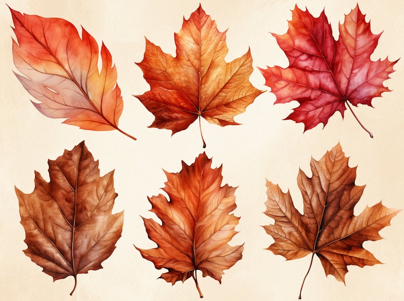 May include: Six watercolour painted autumn leaves in various shades of red, orange, and brown. The leaves are arranged in two rows of three.