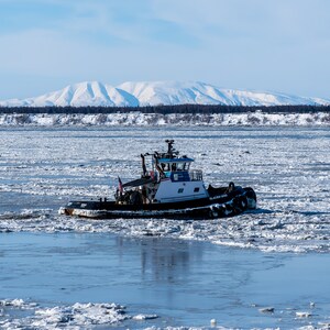 Remolcador y dama durmiente / Anchorage, Alaska / Impresiones premium, impresiones enmarcadas y lienzos