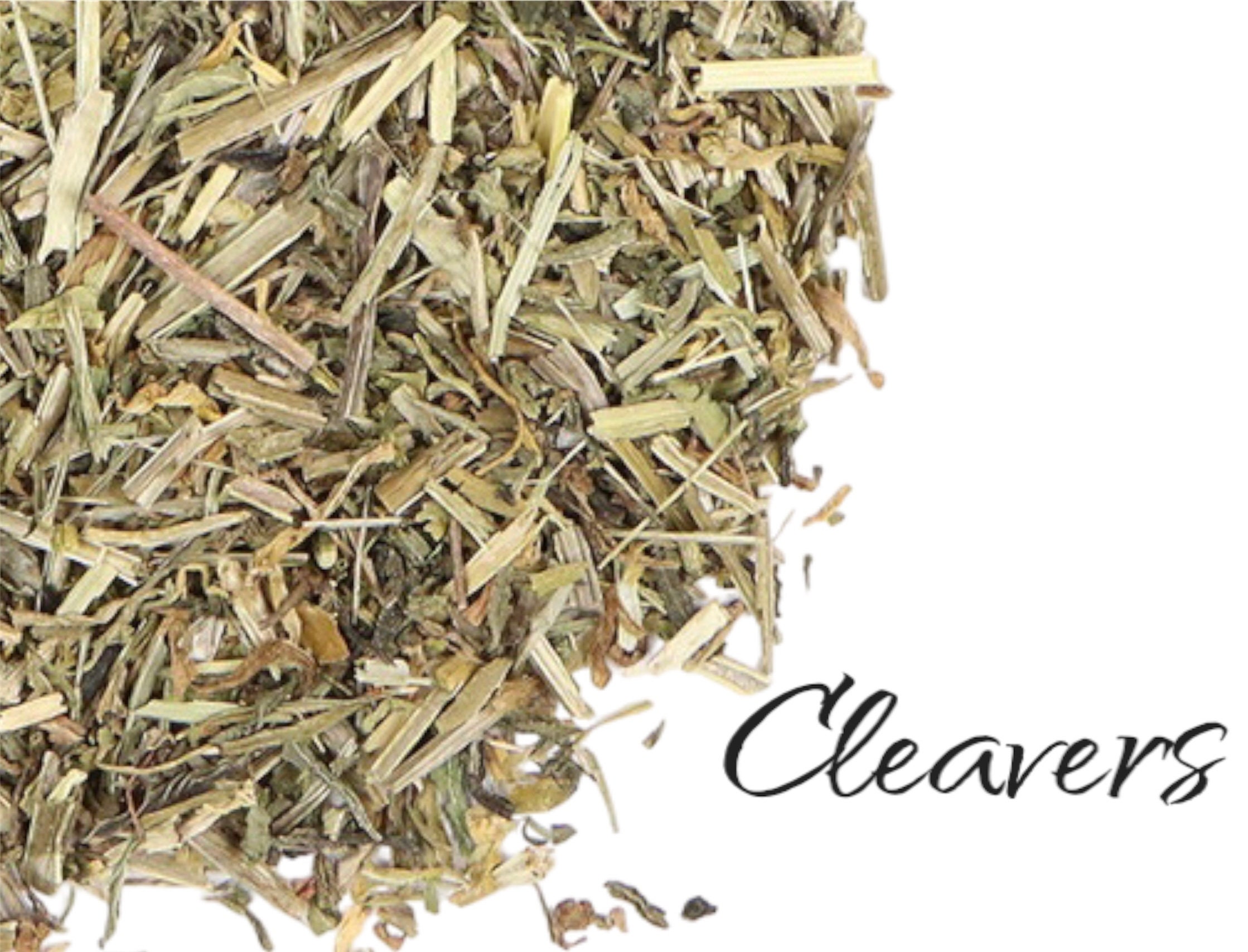 CLEAVERS Organic Herbs Tea, Incense, Remedies, Natural ,herbal Leaf