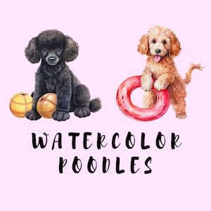 Pet Painting, Watercolor Dog, Poodle, Dog Clipart, Dog Breeds PNG, Dog Portrait, Clipart Bundle, Commercial Use, Watercolor Clipart, Puppy