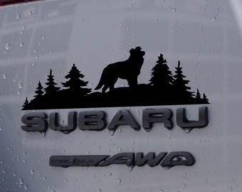 Pegatina de silueta de perro con escena de senderismo en la naturaleza de Border Collie