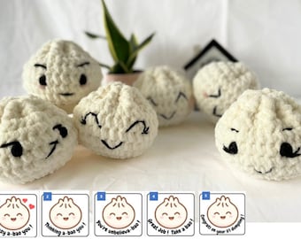 Custom Crochet Dumpling (Xiao Long Bao) Plushie Amigurumi | Couple Gift | Baby Gift | Appreciation Gift | Bao Lover Gift | Personalize