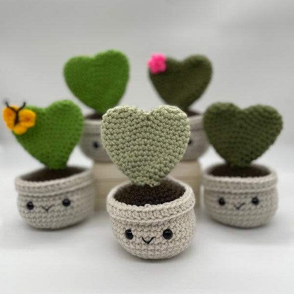 Plante succulente coeur au crochet personnalisée (Hoya Kerrii) | Compagnon de bureau | Cadeau personnalisé | Personnalisez avec des choix de couleurs