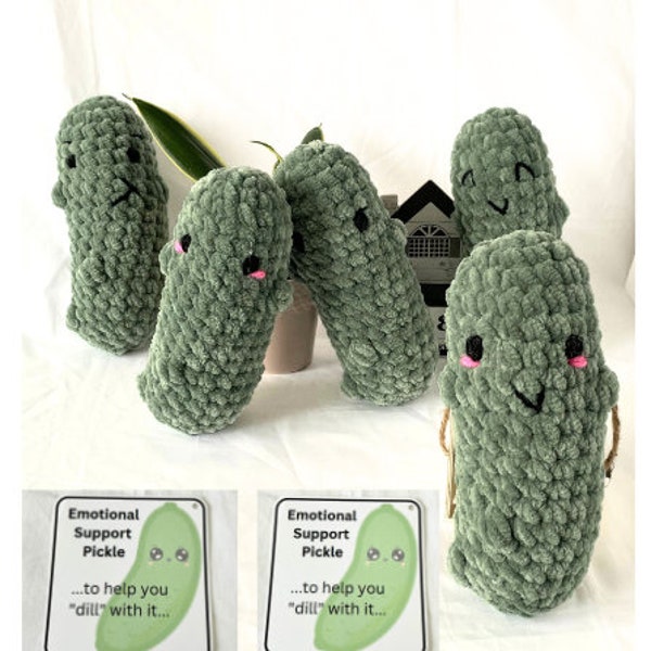 Custom Crochet Pickle Plushie, Emotional Support Pickle, Big Dill | Personalize with choice of expression and punny gift tag