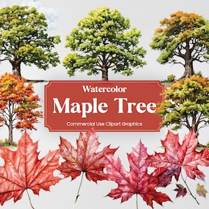 Könnte beinhalten: Aquarell-Clipart-Grafiken von Ahornbäumen in verschiedenen Grüntönen und Rottönen. Der Text "Watercolor Maple Tree Commercial Use Clipart Graphics" wird auf einem roten Banner angezeigt.
