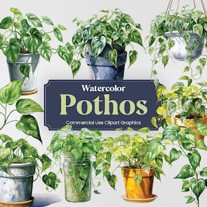 May include: Watercolour illustrations of various types of pothos plants in different pots and containers. The text "Watercolour Pothos" and "Commercial Use Clipart Graphics" is displayed on a blue banner.