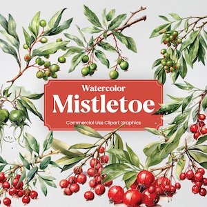 Watercolor Mistletoe, 20+ Mistletoes, Flowers Plants Spring Floral Digital Print, Clipart PNG Transparent Background Commercial Use