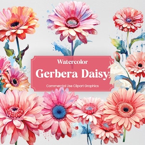 Watercolor Gerbera Daisy, 20+ Gerbera Daisies, Flowers Plants Spring Floral Digital Print, Clipart PNG Transparent Background Commercial Use