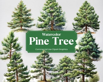 Watercolor Pine Tree, 20+ Pine Trees, Flowers Plants Spring Floral Digital Print, Clipart PNG Transparent Background Commercial Use