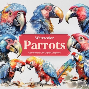 Watercolor Parrot, 26 Cute Parrot, Bird Animal Digital Prints, Clipart PNG format with Transparent Background for Commercial Use