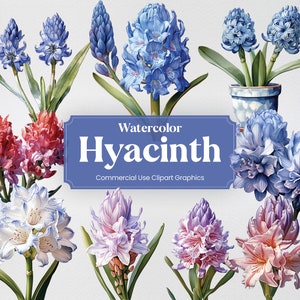 Watercolor Hyacinth, 20+ Hyacinths, Flowers Plants Spring Floral Digital Print, Clipart PNG Transparent Background Commercial Use