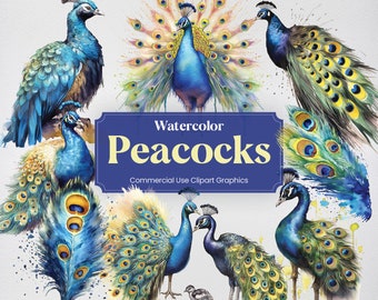 Paons aquarelles, 26 paons mignons, impressions numériques d'animaux oiseaux, format PNG Clipart avec fond Transparent pour un usage commercial