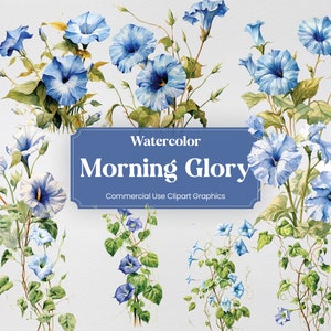Watercolor Morning Glory, 20+ Morning Glories, Flowers Plants Spring Floral Digital Print, Clipart PNG Transparent Background Commercial Use
