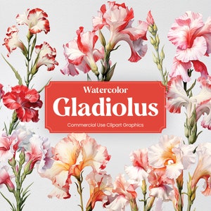 Watercolor Gladiolus, 20+ Gladioli, Flowers Plants Spring Floral Digital Print, Clipart PNG Transparent Background Commercial Use