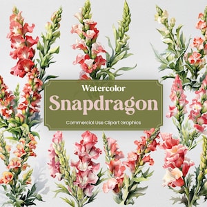 Watercolor Snapdragon, 27 Snapdragons Plants Flowers Spring Floral Bouquet Digital Print, Clipart PNG Transparent Background Commercial Use