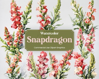 Aquarelle Snapdragon, 27 mufliers plantes fleurs printemps bouquet floral impression numérique, Clipart PNG fond transparent utilisation commerciale
