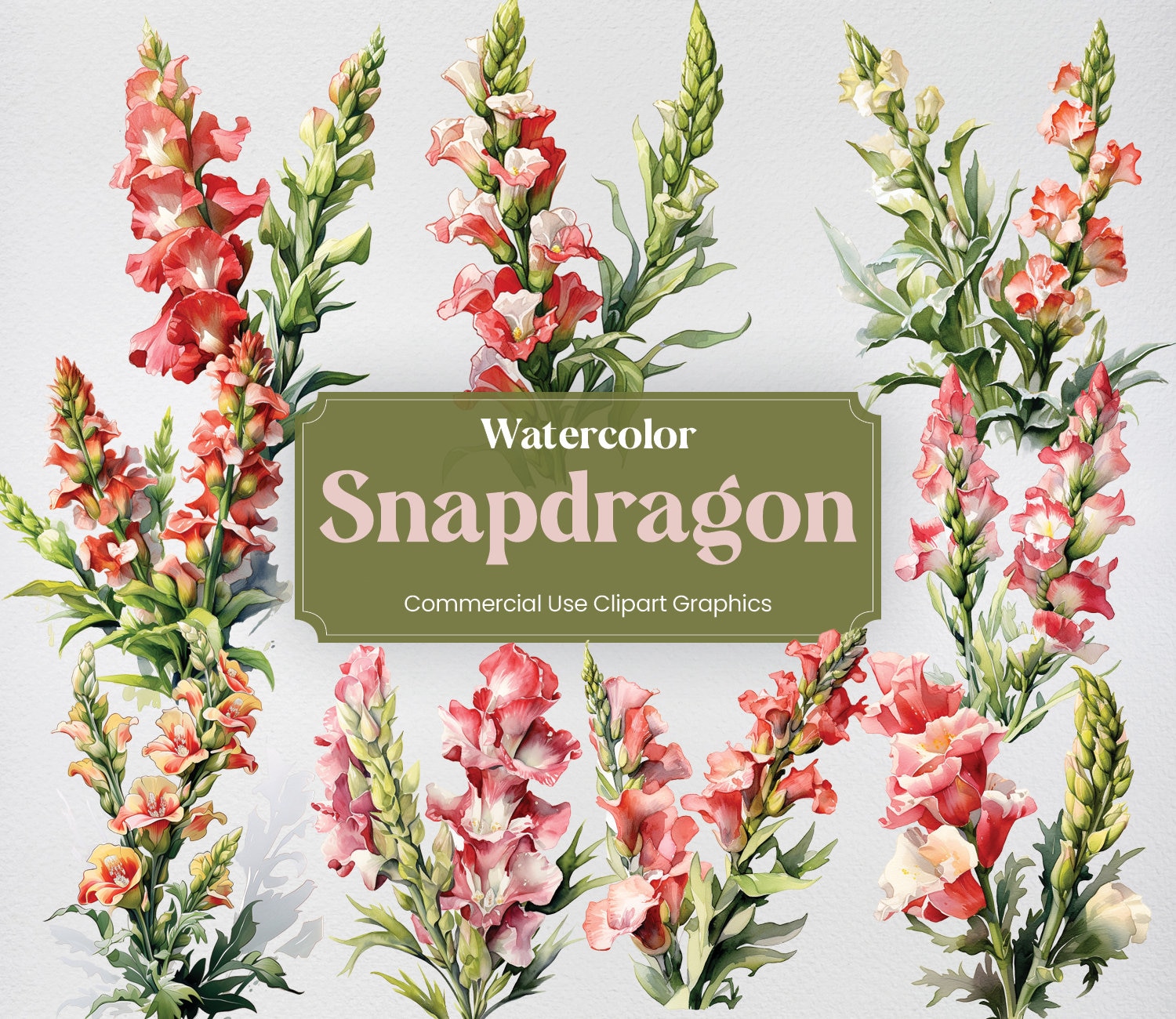 Acuarela Snapdragon, 27 Snapdragons Plantas Flores Primavera Floral Ramo Impresión Digital, Clipart PNG Fondo Transparente Uso Comercial